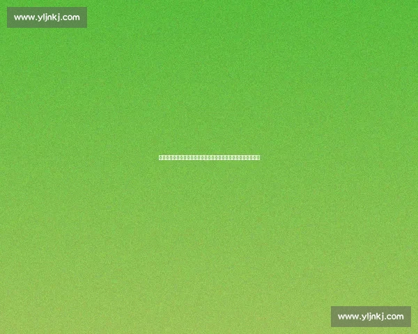 丁宁对阵平野美宇经典回放国乒经验与冲击力的巅峰较量全程解析